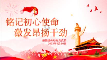 原始人打棒球